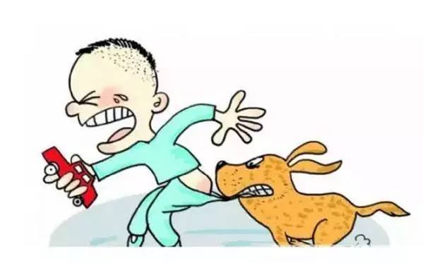 山东男童遭狗撕咬后续，狗主人不愿赔偿，其家属该如何维权？