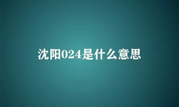 沈阳024是什么意思