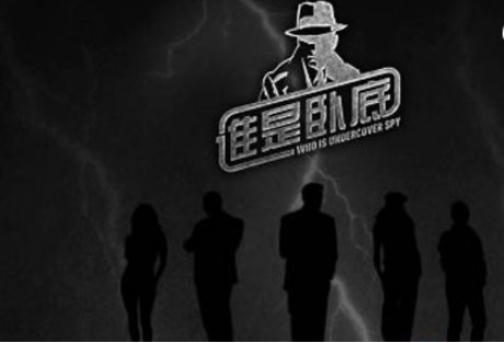 “谁是卧底”的词语有哪些？