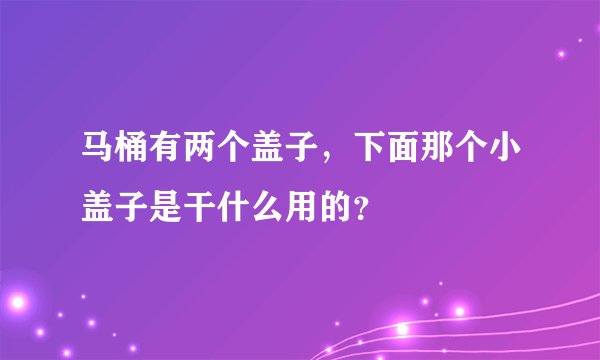 马桶有两个盖子，下面那个小盖子是干什么用的？