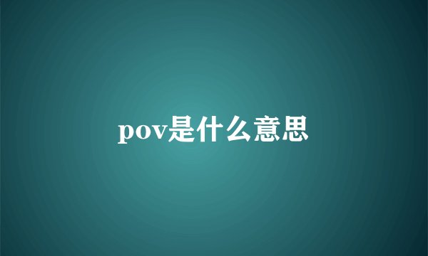 pov是什么意思