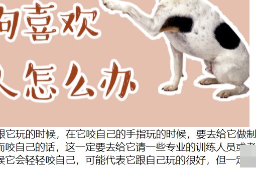 nga 上去是乱码怎么解决？