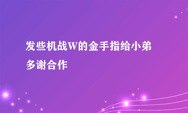 发些机战W的金手指给小弟  多谢合作