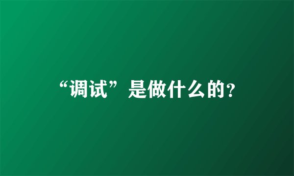 “调试”是做什么的？