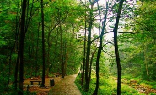 暑假到张家界旅游攻略