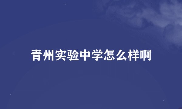 青州实验中学怎么样啊