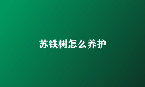 苏铁树怎么养护