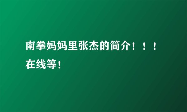 南拳妈妈里张杰的简介！！！在线等！