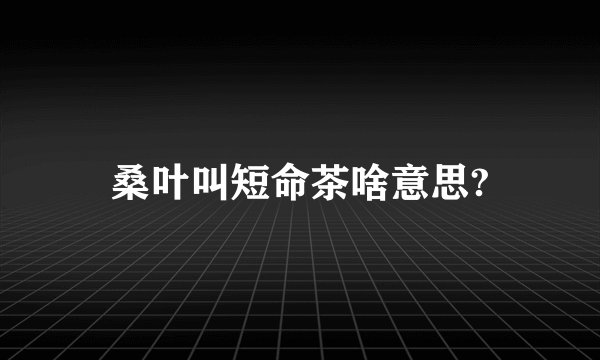 桑叶叫短命茶啥意思?