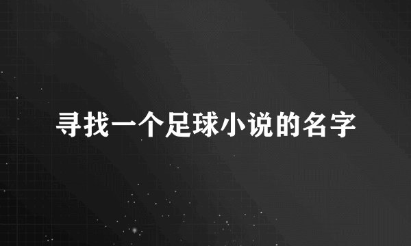 寻找一个足球小说的名字