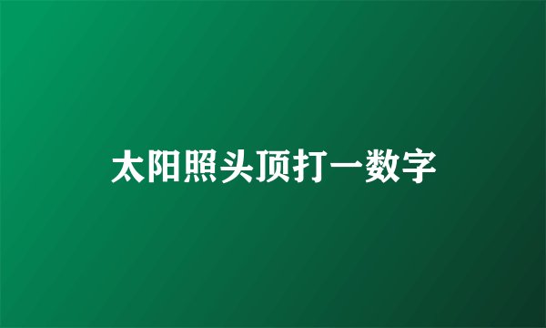 太阳照头顶打一数字