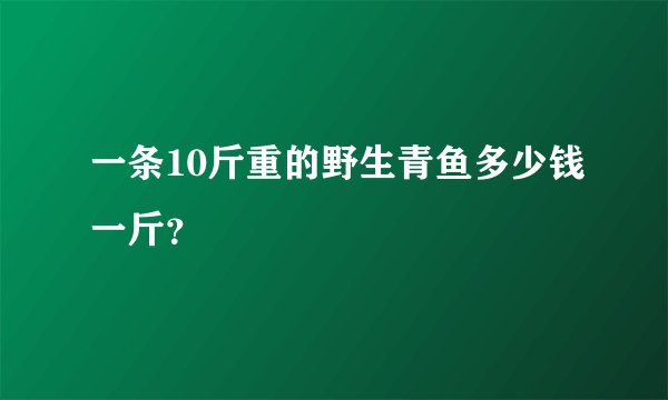 一条10斤重的野生青鱼多少钱一斤？