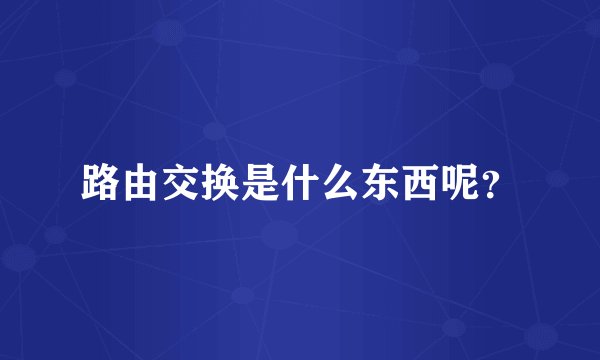路由交换是什么东西呢？