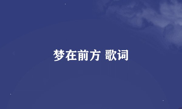 梦在前方 歌词