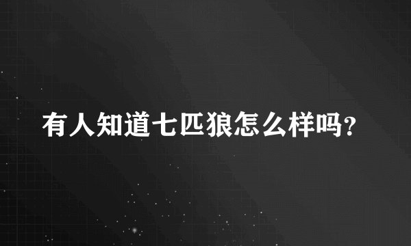 有人知道七匹狼怎么样吗？