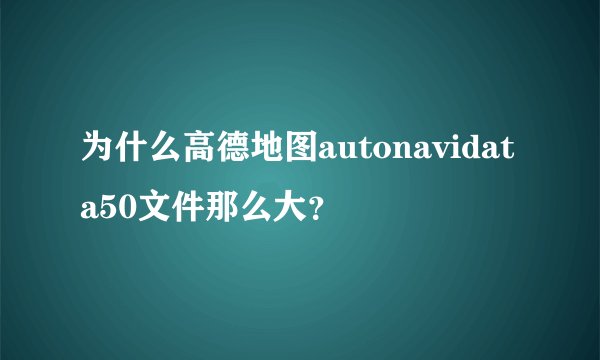 为什么高德地图autonavidata50文件那么大？