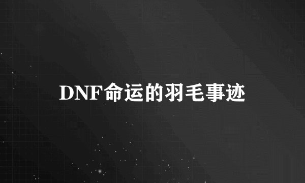 DNF命运的羽毛事迹