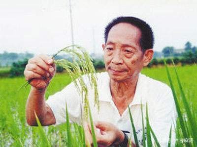 袁隆平的事迹介绍