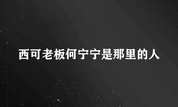 西可老板何宁宁是那里的人