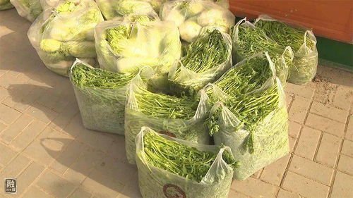 北京囤货太多市民后悔：菜都蔫儿了，疫情下到底该不该囤菜？