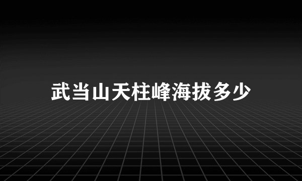 武当山天柱峰海拔多少