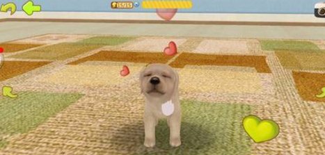 怎么样才可以在手机上养宠物？