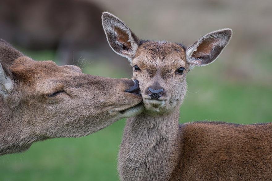 第一次接吻是什么感觉？