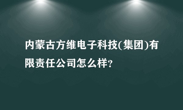 内蒙古方维电子科技(集团)有限责任公司怎么样？