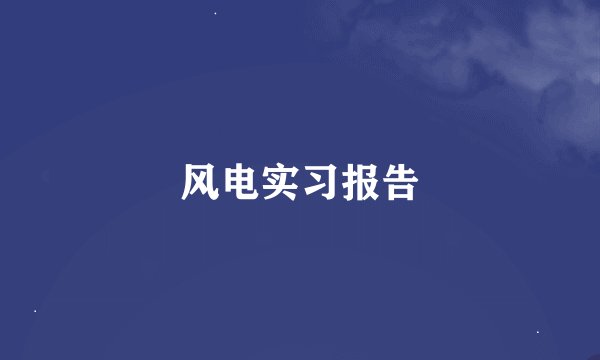 风电实习报告