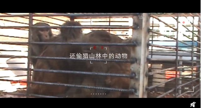 丁真和检察官拍了支公益宣传片，这支宣传片体现了哪些内容？