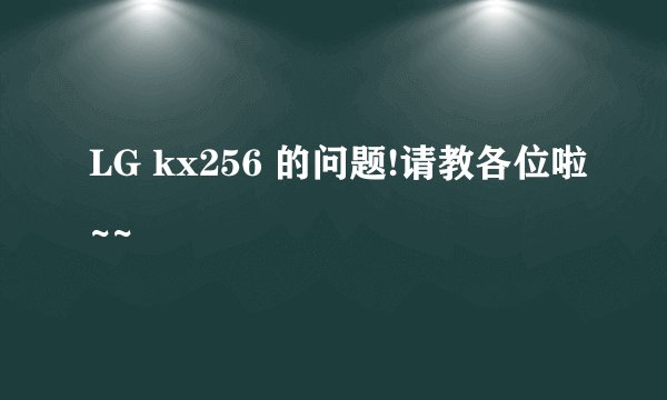 LG kx256 的问题!请教各位啦~~