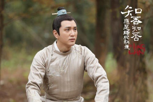 如何评价《知否知否应是绿肥红瘦》这本书?