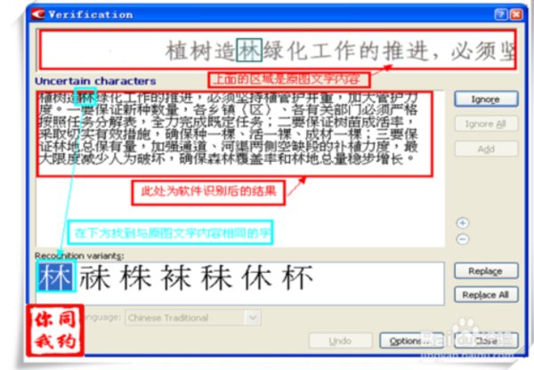 图像word格式转换工具怎么用