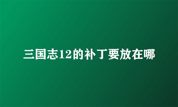 三国志12的补丁要放在哪