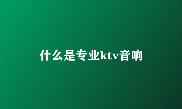 什么是专业ktv音响