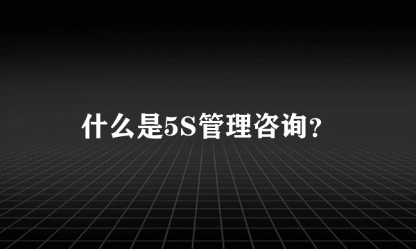 什么是5S管理咨询？