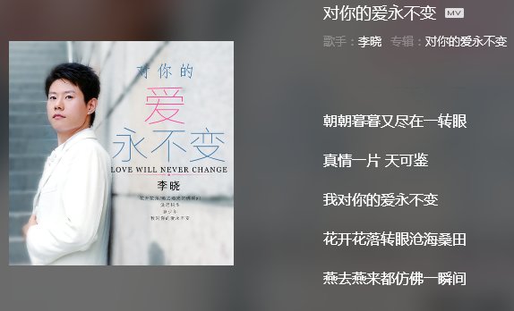 歌词：我对你的爱永不变