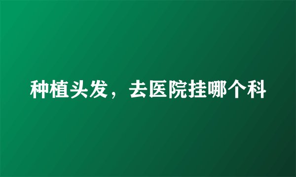 种植头发，去医院挂哪个科
