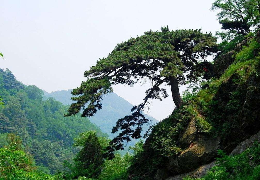 2人被列入全国旅游市场黑名单,什么行为会导致这种状况?