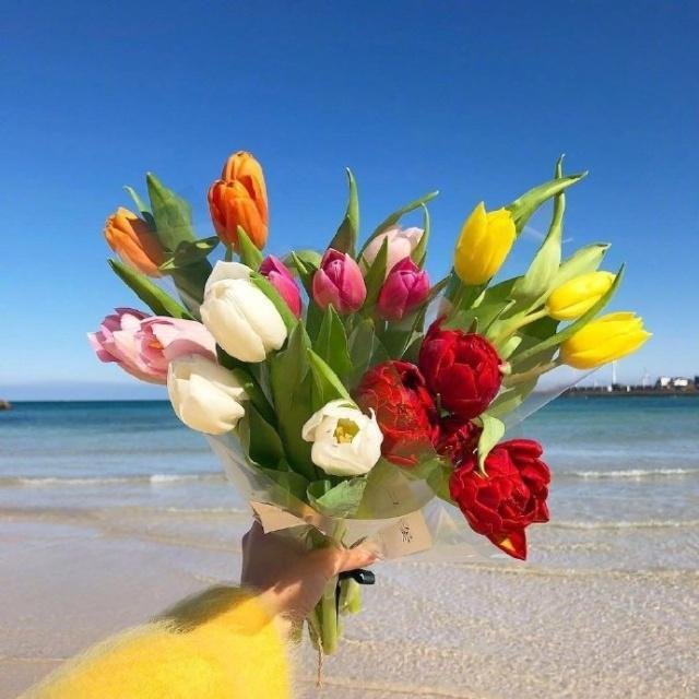 母亲节日快乐的简短句