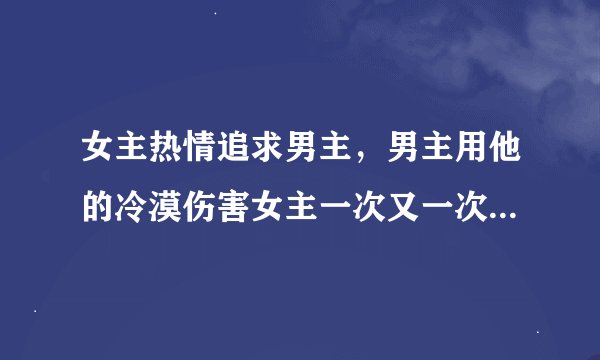 女主热情追求男主，男主用他的冷漠伤害女主一次又一次，女主后来离开男主的言情小说。