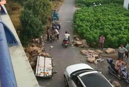 江苏哄抢猪肉5人被拘是怎么回事？