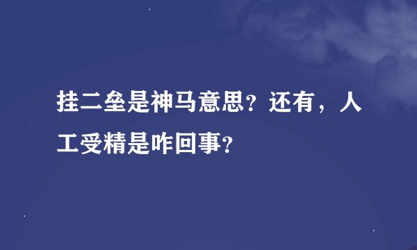 挂二垒是神马意思?还有,人工受精是咋回事?