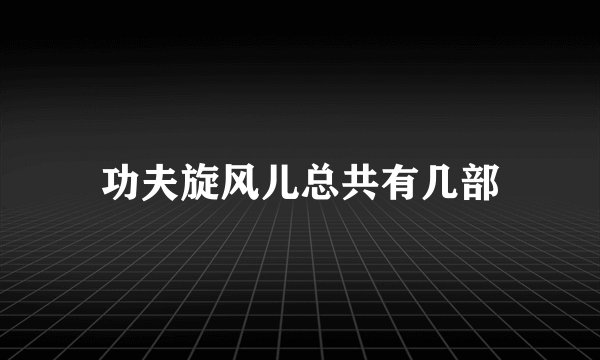 功夫旋风儿总共有几部