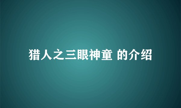 猎人之三眼神童 的介绍