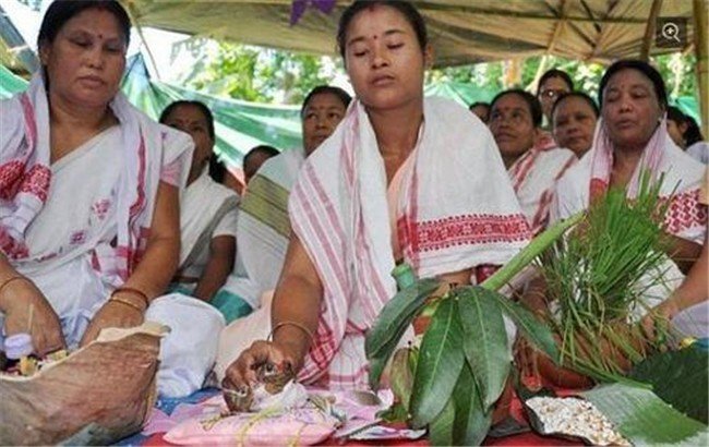 印度为求雨结婚的青蛙发洪水了又离婚了，青蛙真的能呼风唤雨吗？