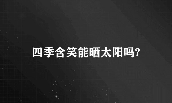 四季含笑能晒太阳吗?