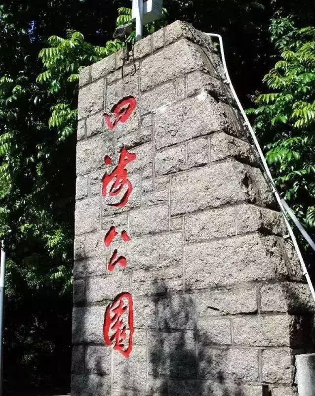 深圳有哪些好玩不贵的地方?