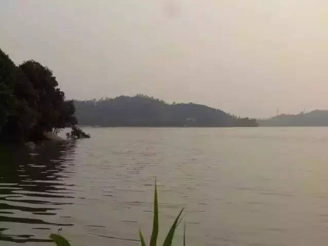 深圳有哪些好玩不贵的地方?