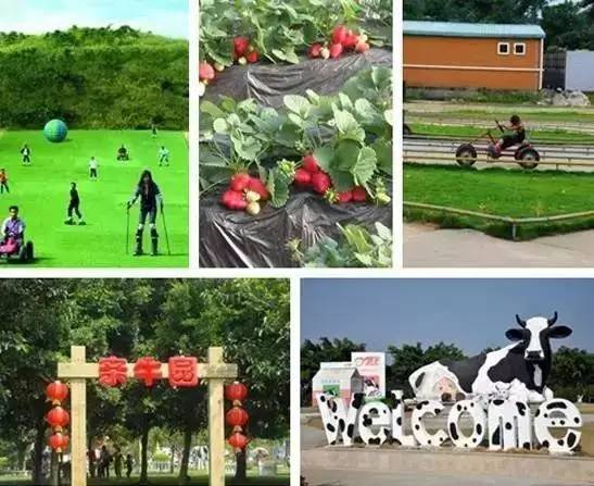 深圳有哪些好玩不贵的地方?